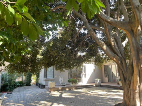 PepperTree Guest House